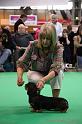 Crufts2011_2 1410